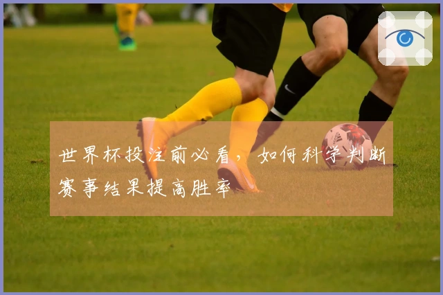 世界杯投注前必看，如何科学判断赛事结果提高胜率