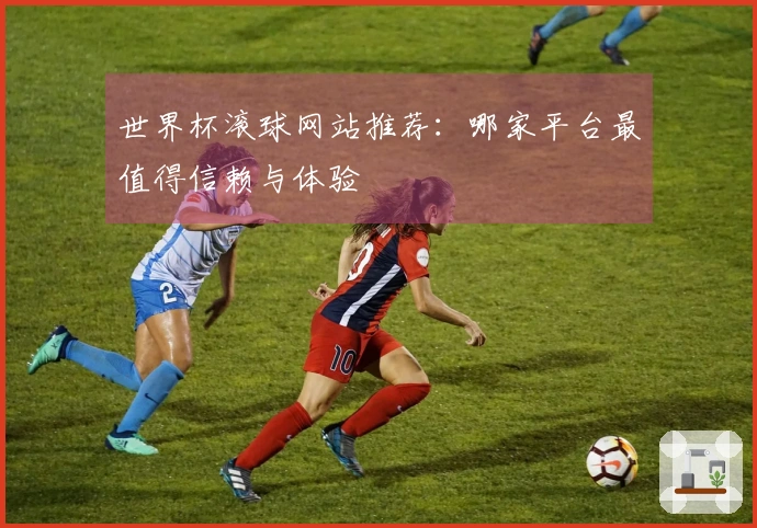 世界杯滚球网站推荐：哪家平台最值得信赖与体验