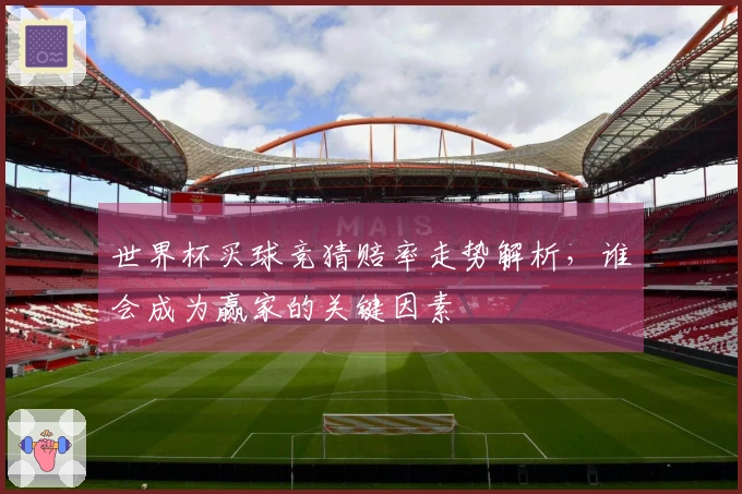 世界杯买球竞猜赔率走势解析，谁会成为赢家的关键因素