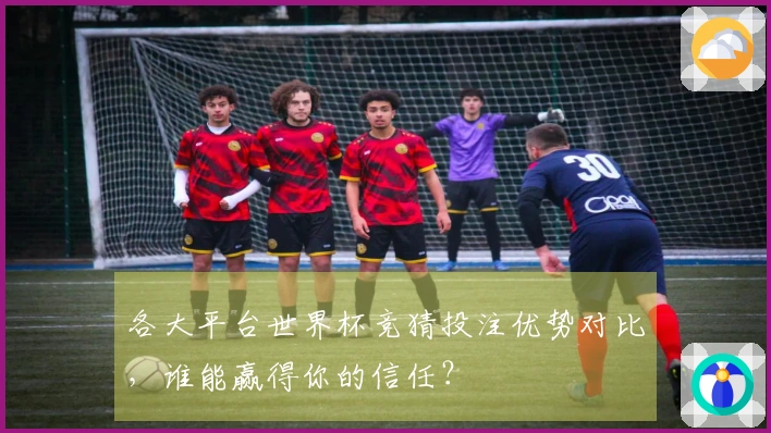 各大平台世界杯竞猜投注优势对比，谁能赢得你的信任？