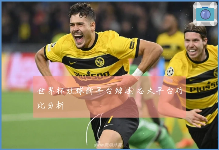 世界杯让球新平台综述 各大平台对比分析