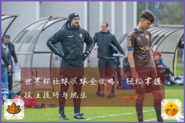 世界杯让球买球全攻略，轻松掌握投注技巧与玩法