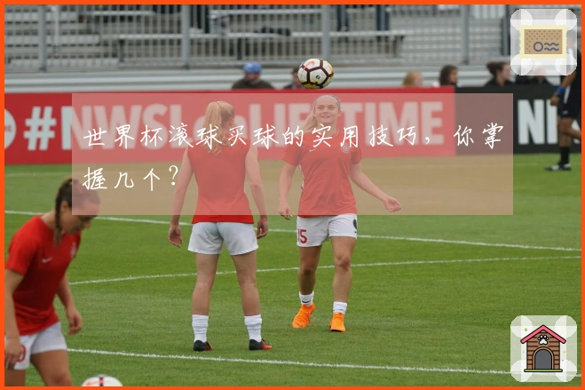 世界杯滚球买球的实用技巧，你掌握几个？