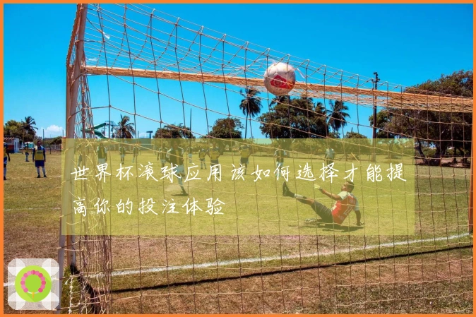 世界杯滚球应用该如何选择才能提高你的投注体验