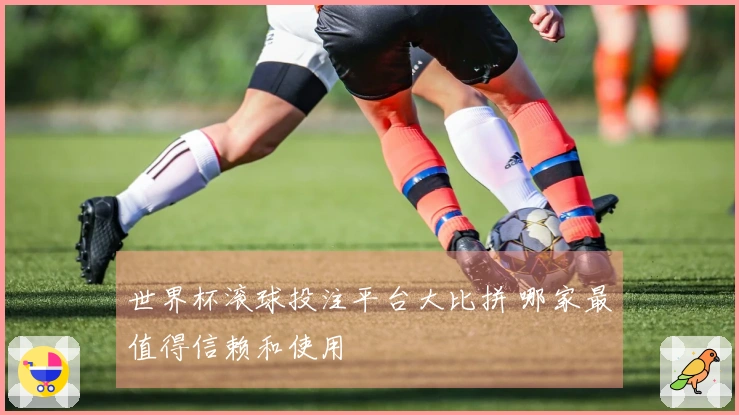 世界杯滚球投注平台大比拼 哪家最值得信赖和使用
