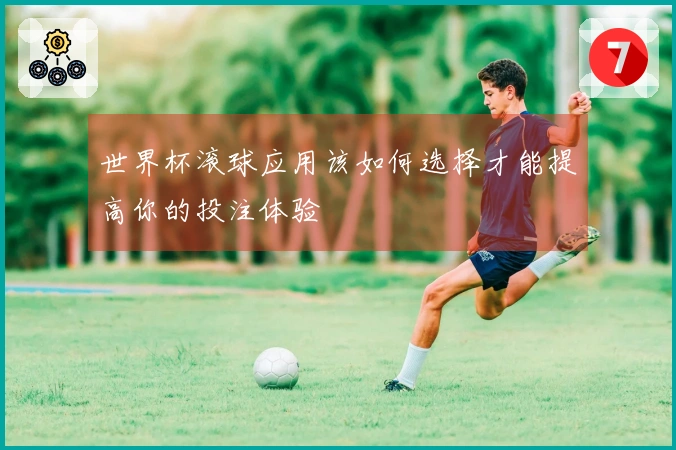 世界杯滚球应用该如何选择才能提高你的投注体验