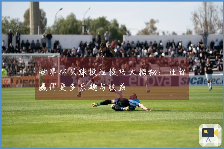 世界杯买球投注技巧大揭秘，让你赢得更多乐趣与收益