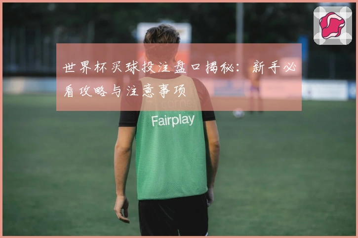 世界杯买球投注盘口揭秘：新手必看攻略与注意事项