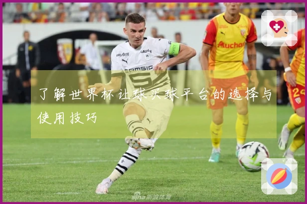 了解世界杯让球买球平台的选择与使用技巧
