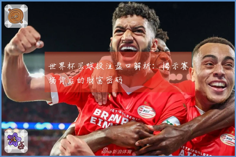 世界杯买球投注盘口解析：揭示赛场背后的财富密码