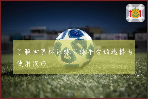 了解世界杯让球买球平台的选择与使用技巧