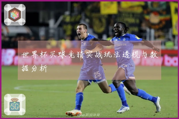 世界杯买球竞猜实战玩法透视与数据分析