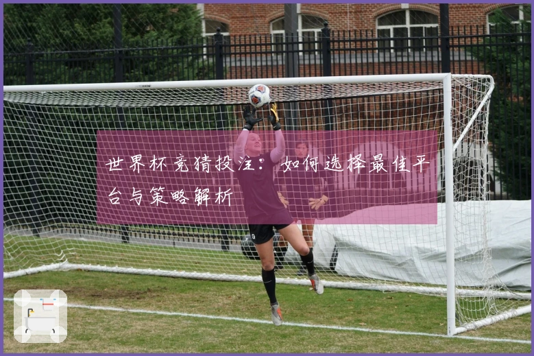 世界杯竞猜投注：如何选择最佳平台与策略解析